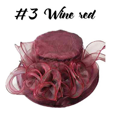 

Women Kentucky Derby Sun Hat Wide Brim Wedding Tea Party Church Organza Hats
