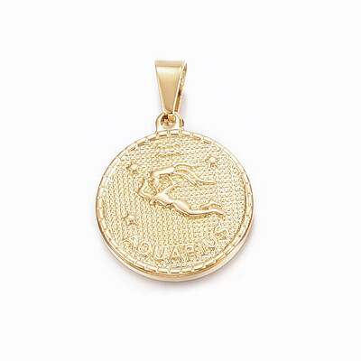 

304 Stainless Steel Pendants Flat Round with Twelve ConstellationZodiac Sign Aquarius 29x25x32mm Hole 9x45mm