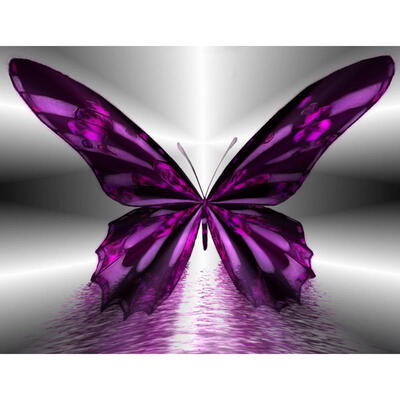 

5D DIY Diamond Painting Fantasy Butterfly Cross Stitch Embroidery Mosaic