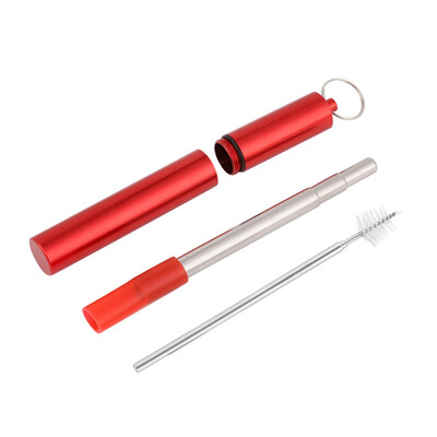 

Reusable Telescopic Stainless Steel Straws Metal Drinking Straw With Keychain Storage Case And Cleaning Brush