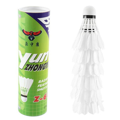 

6Pcs Practice Accessories Ball Game Feather