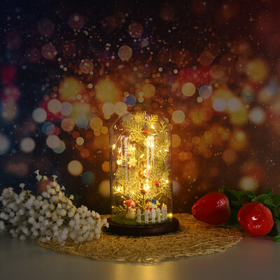 

Siaonvr Wire Lamp Christmas Micro Landscape Decoration Holiday Gift Snowman