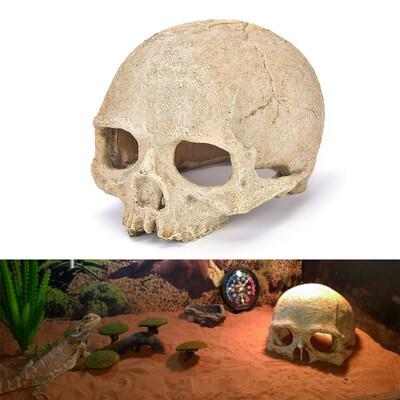

Siaonvr Fish Tank Aquarium Ornament Terrarium Decorations Resin Skull Human Skeleton