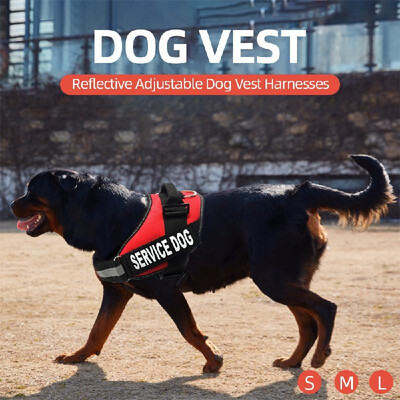 

Dog Vest Harnesses Reflective Service Dog Harness Adjustable Service Dog Vest for Outdoor Walking L