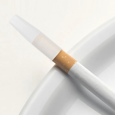 

〖Follure〗Disposable Electronic Cigarette Smoke Test Cigarette Holder For 92MM Test Tip