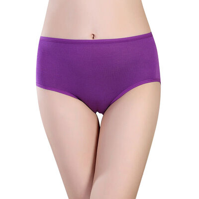 

Sexy Briefs Menstrual Period Lengthen The Broadened Female Underwear Health Seamless Women Panties New