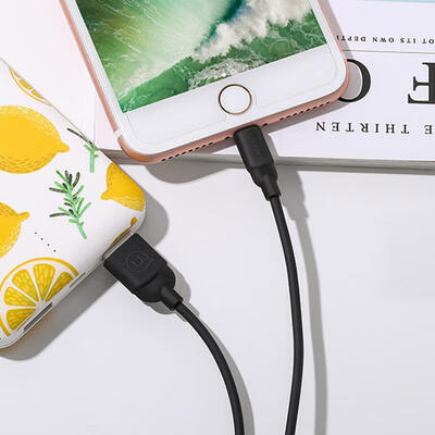 

USAMS Candy Color 1m 2A USB To Lightning Charging Data Cable For IPHONE