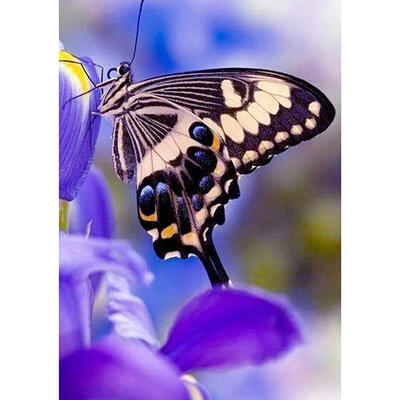 

5D DIY Diamond Painting Butterfly Cross Stitch Embroidery Rhinestone Mosaic