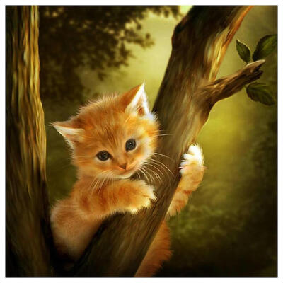 

5D DIY Diamond Painting Lovely Cat Cross Stitch Embroidery Mosaic Craft Kit
