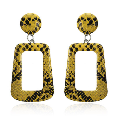 

New Big Geometric Drop Earrings for Women Punk Vintage Statement Earrings Snake Skin Party Jewelry Gift