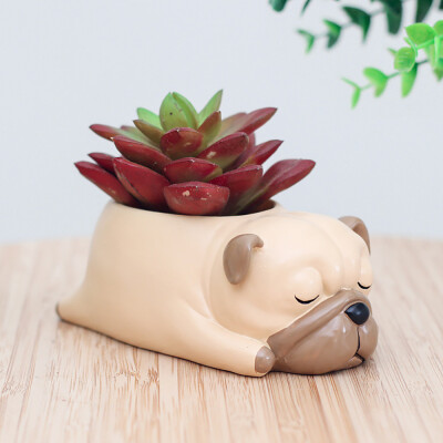 

Gobestart Cute Cartoon Animal Container for Home Garden Office Desktop Decoration