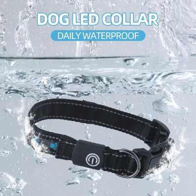 

Dog LED Collar Pet LED Collar Dog USB Rechargeable Collar Glowing Dog Collar