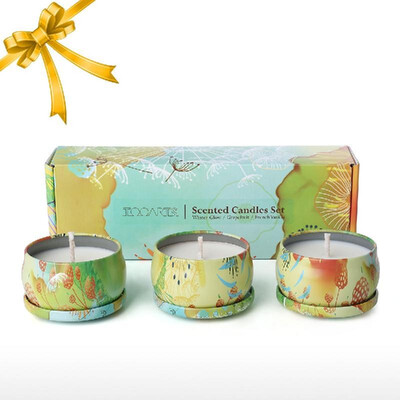 

Tooarts Scented Candles 100 Natural Soy Wax Long Last Clean Burning Exquisite Gift Box Package Charming Fragrance Refresh Air Pe