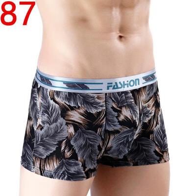 

Mens Ice Silk Boxers Stylish Print Boxer Briefs With Pouch