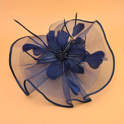 

Women Fascinator Hat Feather Mesh Net Veil Party Hat Flower Derby Hat Headwear with Clip&Hairband
