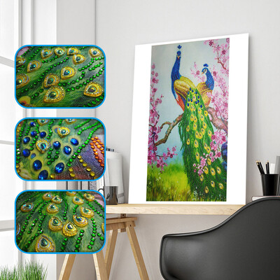 

Siaonvr Special Shaped Diamond Painting DIY 5D Partial Drill Cross Stitch Kits Crystal R