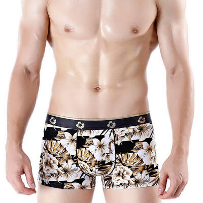 

Mens Print Boxer Briefs Quick-Dry Breathable Pouch Underwear