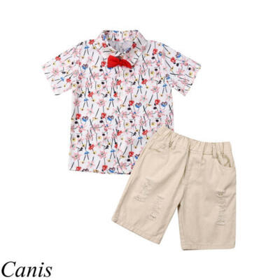 

2Pcs Newborn Kids Baby Boys Floral Tops T-shirt Short Hole Pants Outfits Casual