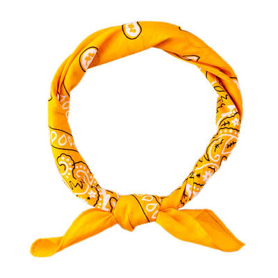

Hip Hop Unisex Women Men Shawl Cashew Flower Print Square Scarf Hair Band