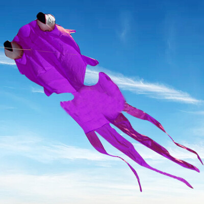 

Tailored Huge Outdoor Fun Sports Single Line Software Goldfish Kite Animal Kites Flying
