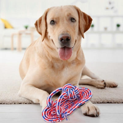 

Greensen 4Pcs Pet Puppy Bite Resistant Rope Toy Dogs Chew Slipper Toys Set