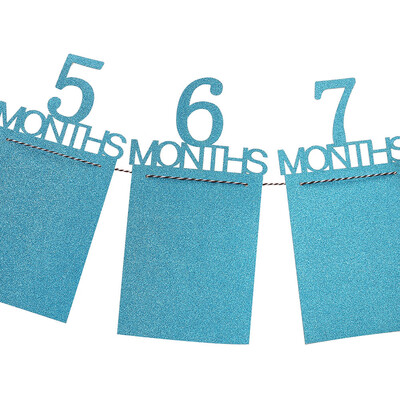 

Gobestart Kids Birthday Gift Decorations 1-12 Month Photo Banner Monthly Photo Wall