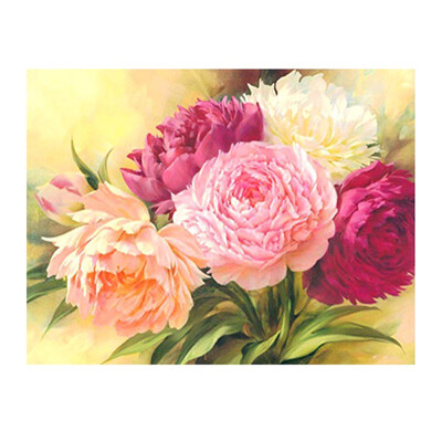 

40 x 50cm DIY Oil Painting Paint By Number Kit For Adults Kids Wall Art Paintings