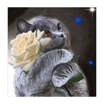 

5D DIY Full Drill Diamond Painting Cat Cross Stitch Embroidery Mosaic Kit