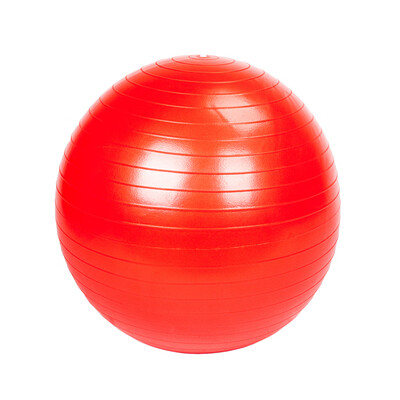 

Ktaxon 10PCS 55cm 65cm 75cm 85cm Anti-Burst Exercise Yoga Balance Ball - Fitness Stability Training Ball with Air Pump