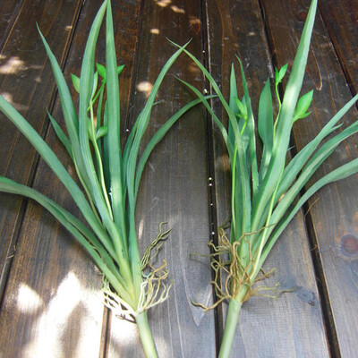 

Artificial Flower Chlorophytum Simulation Plant Vases Arrangement Home Decor
