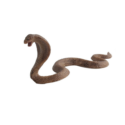 

Tailored Educational Science Toy Simulated Snake Model Toy ForKids Children