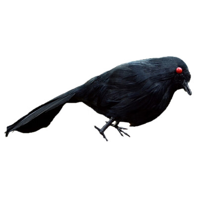 

Stuffed Feathered Black Raven Crow Bird Decoration Fancy Dress Halloween