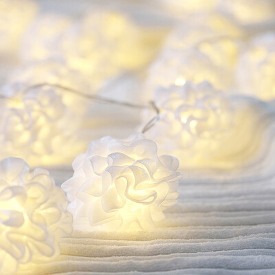 

〖Follure〗Valentines Day 1M 10LED White Silk Silk Flower Decorative Shaping Lamp String
