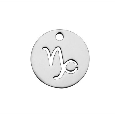 

304 Stainless Steel Charms Flat Round with ConstellationZodiac Sign Stainless Steel Color 12x1mm Hole 1mm