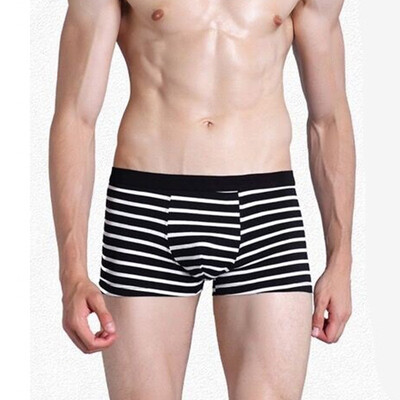 

Mens Boy Breathable Underwear Boxer Briefs Shorts Bulge Pouch Underpants XL3XL