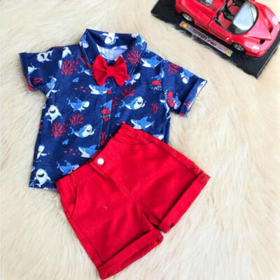 

Newborn Kid Baby Boys Animal Printed Tops T-shirt Pants Shorts Outfits 2pcs Set