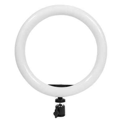 

Dimmable 10 inches LED Ring Light Kit Video Light wBall Head Phone Holder