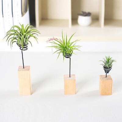 

Air plants Tillandsia bracket wood pile base wood bracket wooden stick 10 cm high