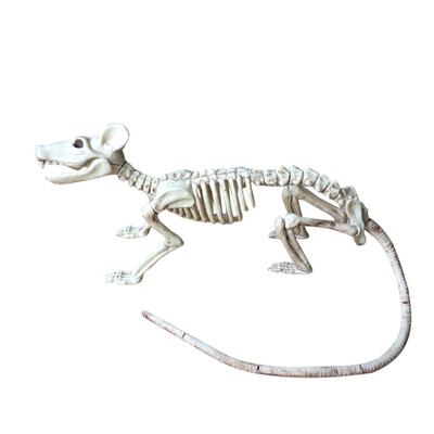 

Siaonvr Halloween Skeleton Animal Bones Horrible Decoration Simulation toy
