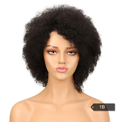 

Noble Afro Kinky Curly Wig Brazilian Human Hair Wigs For Black Women Remy Non Lace Front Wig Free Shipping