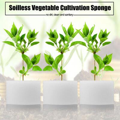 

50pcsBag Soilless Hydroponic Sponges Vegetable Cultivation System Planting Gardening ToolHydroponic Sponge Seed Plant Sponge