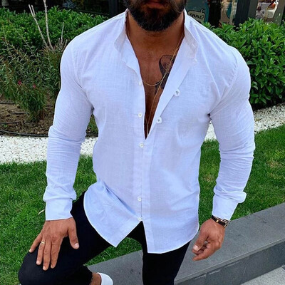 

Autumn Fashion Mens Casual Dress Slim Fit Shirt Long Sleeve Shirts Tops Blouse