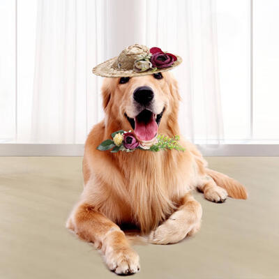 

Greensen Handcrafted Pet Dog Cat Mini Straw Sombrero Sun Hat with Colored Flower Collar Decor