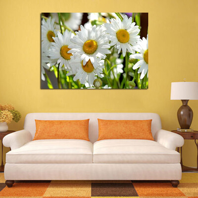 

Square Full Drill 5D Diamond Painting DIY Embroidery White Daisies Home Decor