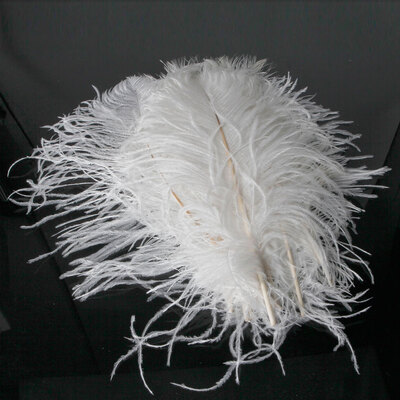 

10pcs beautiful natural ostrich feathers "12-14" Inch White Decorations