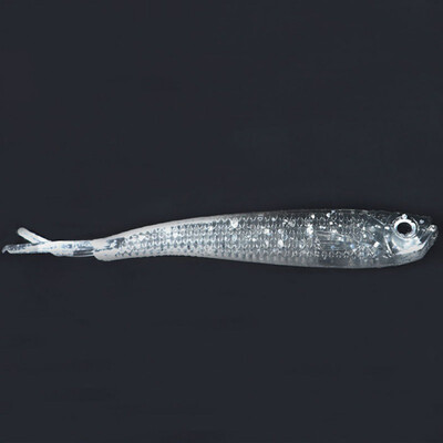 

10pcslot Soft Lure 75mm Swimbaits Artificial Worm Soft Bait Fish Wobblers Carp Lead Sequins Flying Fishing Lure hot