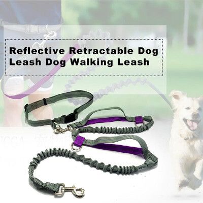 

Pet Leashes Dog Leash Reflective Retractable Dog Walking Leash Dual Bungees with Waist Belt Dog Training Leash