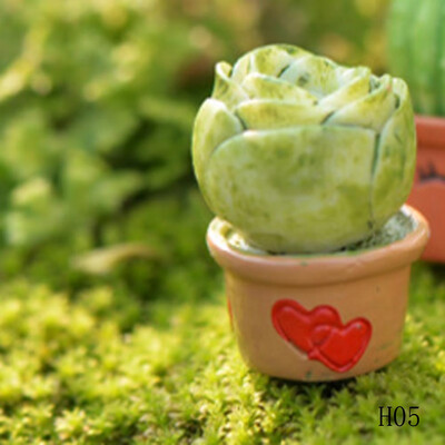 

landscape Garden Miniature Moss micro landscape Ecological Individual Ecological Craft Pot
