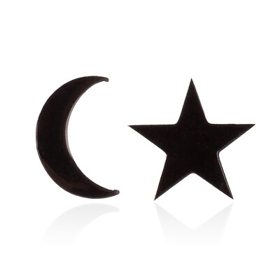 

1 Pair Fashion Irregular Stainless Steel Star Month Stud Earring For Women