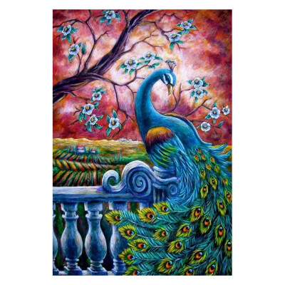 

30 x 40cm Peacock Cat Planet Pattern 5D DIY Full Diamond Painting Cross Stitch Paint By Number Kit for Adults Kids Home Decor